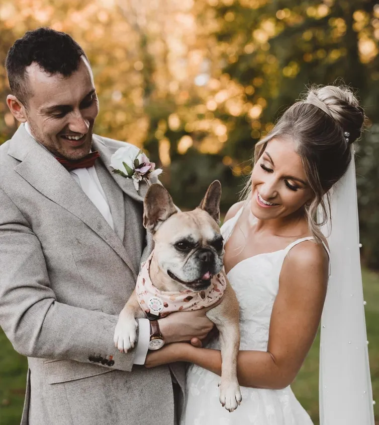 Man and woman with pug on their wedding day. Both looking at the dog wearing a beige suit and white wedding dress.